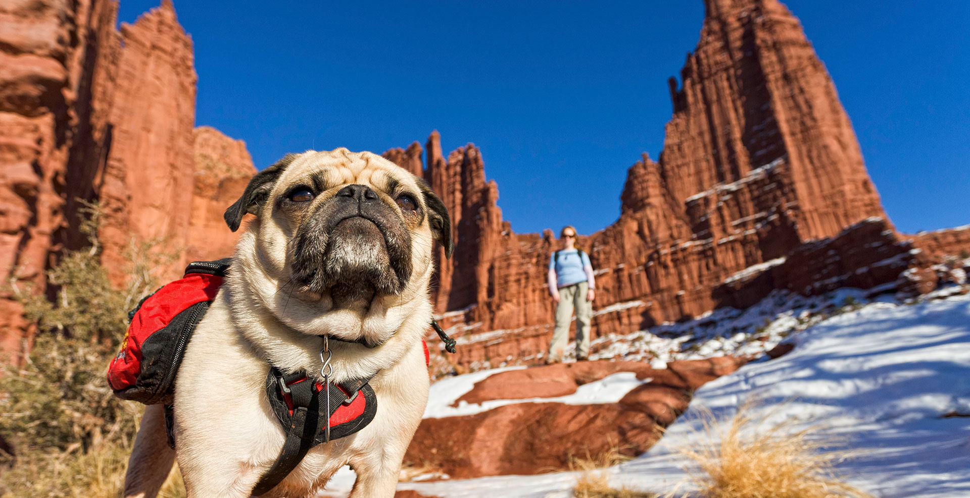 Pet friendly hiking at Fisher Towers