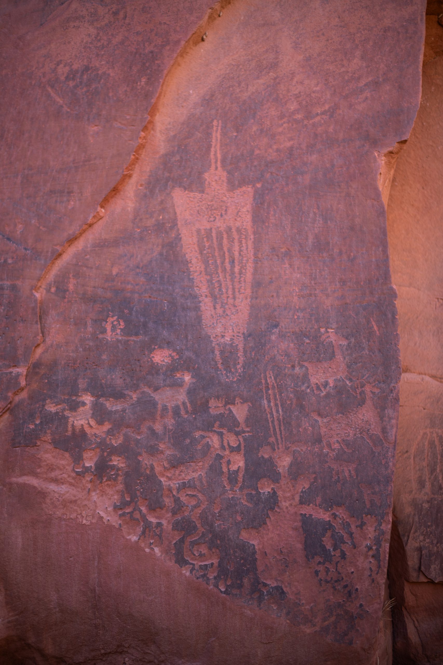 A wall of petroglyphs with depictions of human figures and bighorn sheep.